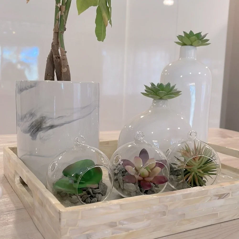 Set of 3 succulent terrariums - Picture 4 of 16